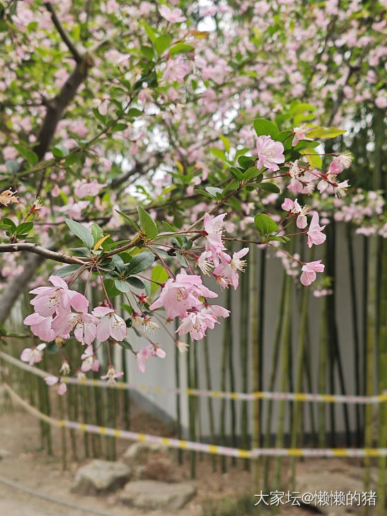 春日穿搭_育教亲子穿搭