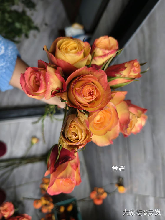 虽然，她们都是月季_花