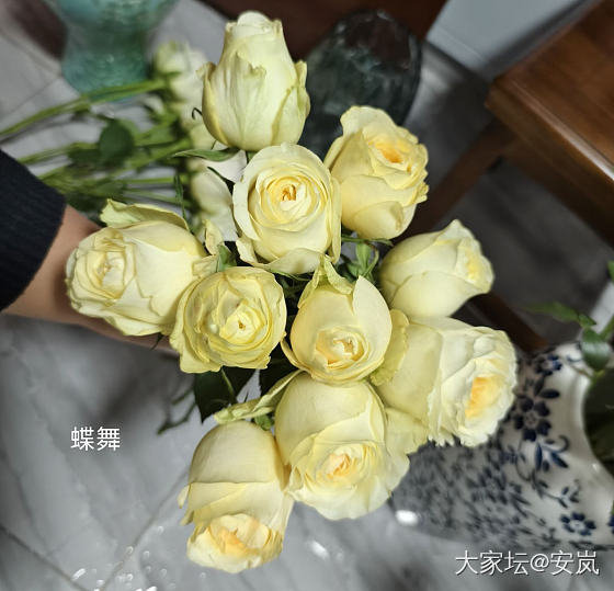虽然，她们都是月季_花