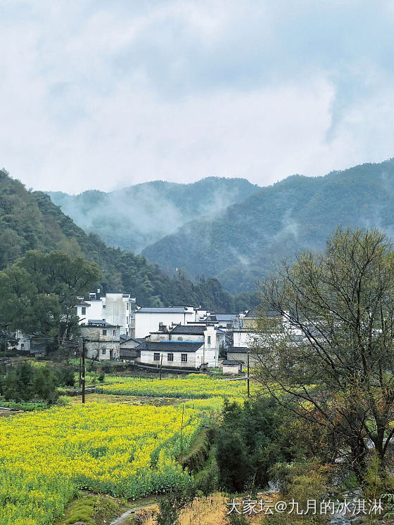 雨中皖南_旅游