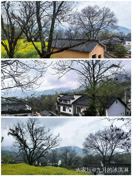 雨中皖南_旅游
