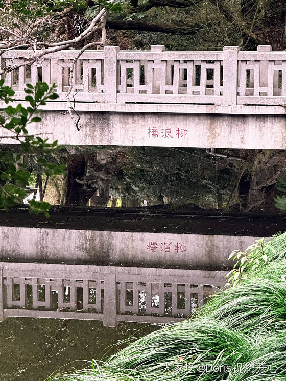 好多人说上海不好玩，是不了解哪里好玩，还是纯粹对上海的旅游资源不感兴趣呀？_旅游