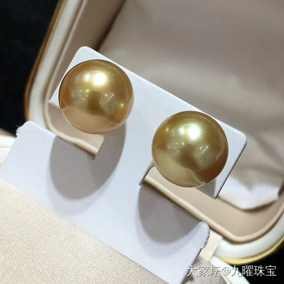南洋金珍珠_珍珠
