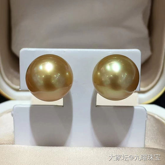 南洋金珍珠_珍珠