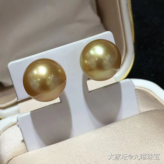 南洋金珍珠_珍珠
