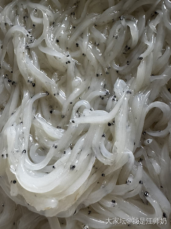 中饭_美食