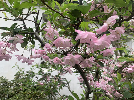 消年假之苏州行_旅游