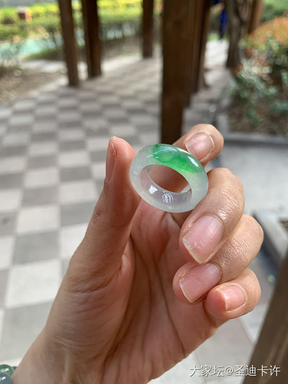 前天坛子里收的金豆豆_金
