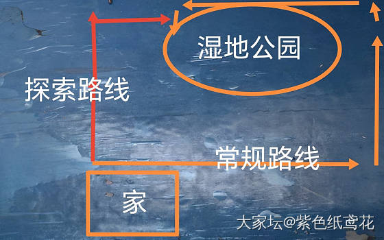 开心一刻：缺德地图又抽风了。_植物