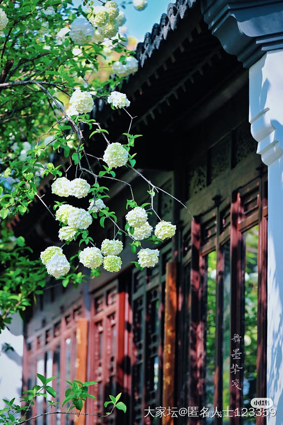 晋升机会，求建议_工作