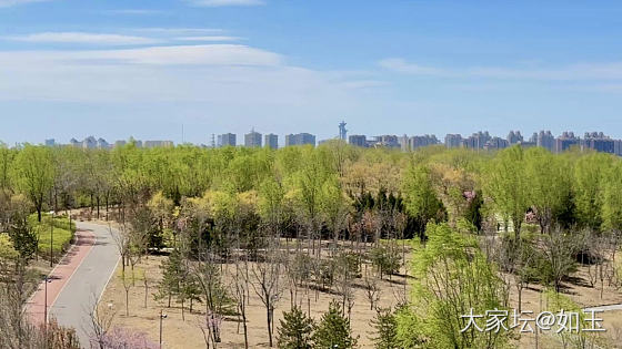 清明·踏青_景色