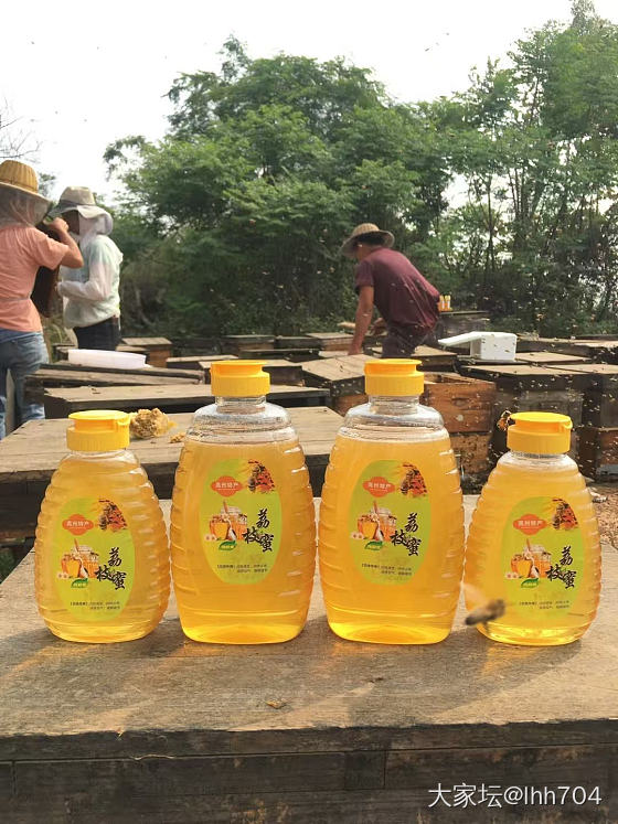 2025新出荔枝蜜_品味