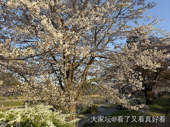 今天的左手晒起来_手饰钻石K金