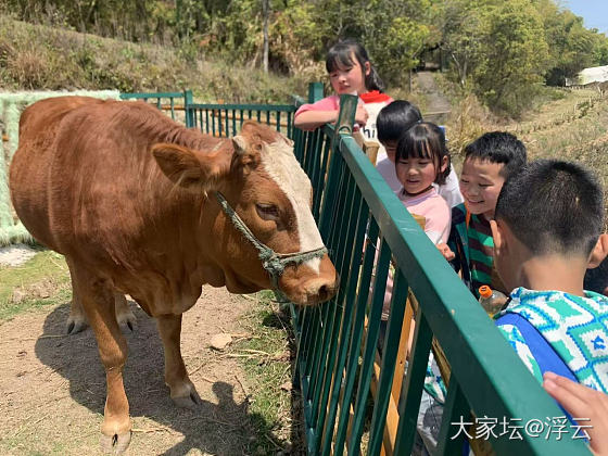 游园，碰上一群研学游小学生_植物