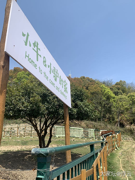 游园，碰上一群研学游小学生_植物