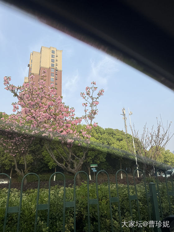 这样白T配牛仔还挺显瘦_穿搭