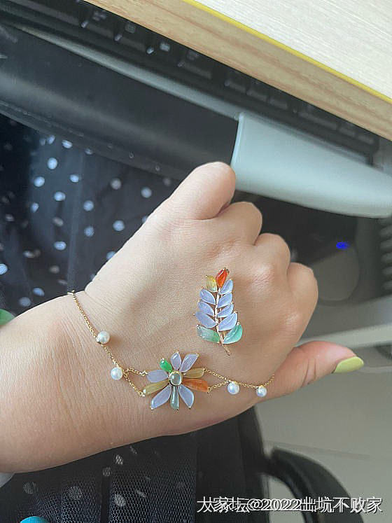 自刀翡翠黄金饰品和包包等_首饰