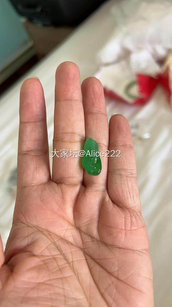 绿色大随行出_翡翠