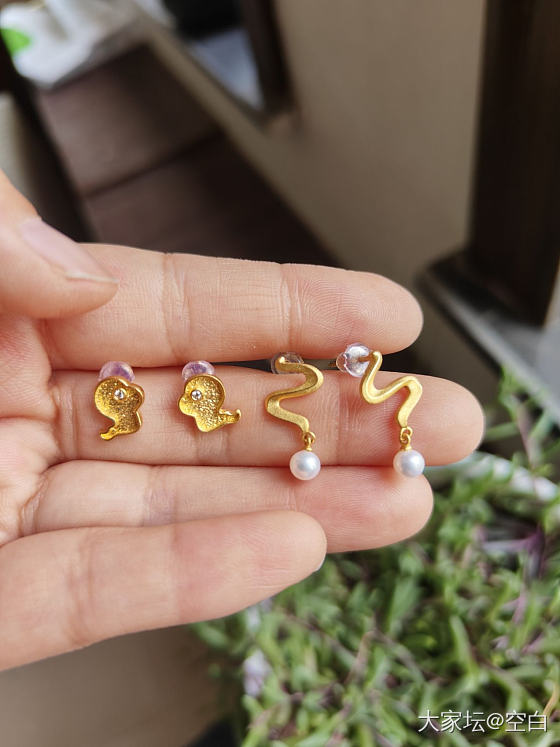 萌萌哒小蛇_金