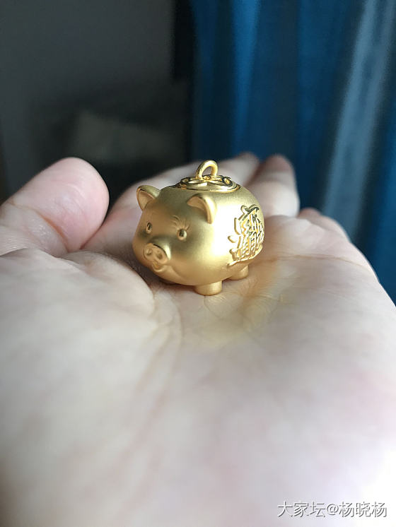 小猪猪_金