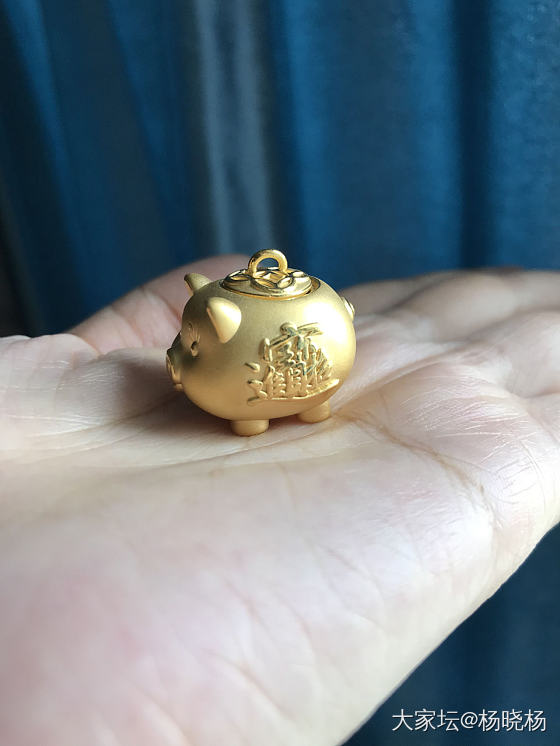 小猪猪_金