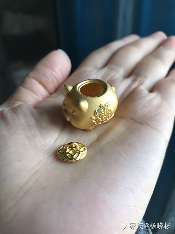 小猪猪_金