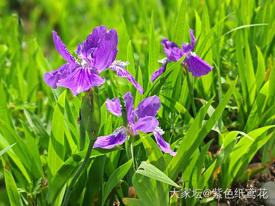开心一刻：和瘦子吃饭_闲聊