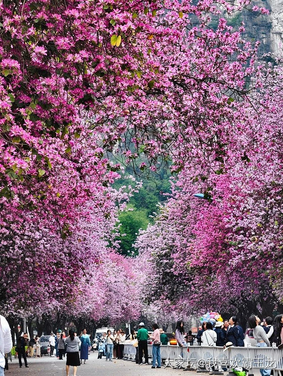 有柳州的坛友吗_旅游闲聊