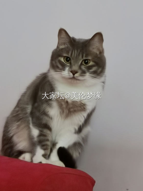 有了兑换金币的想法_金大家谈