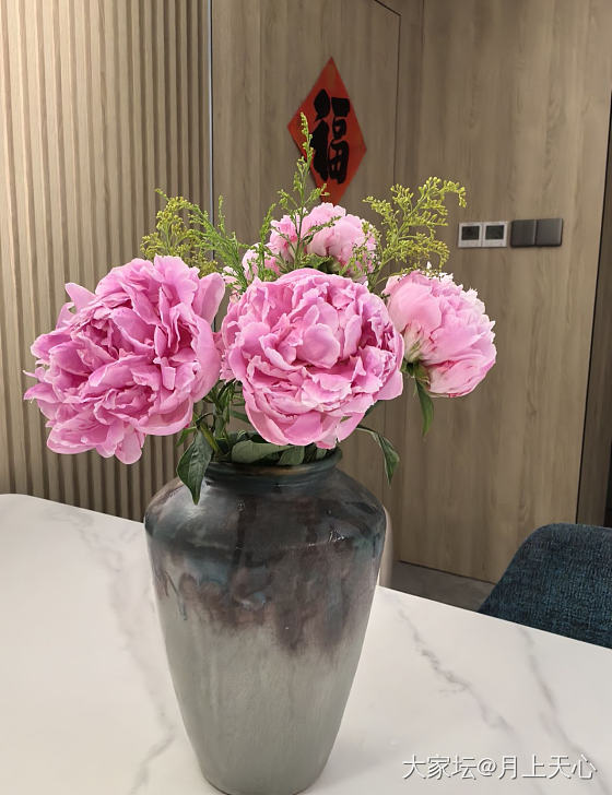 落日珊瑚开了，算是早花品种吗？_花