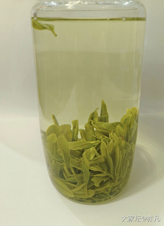 紫笋茶_茶叶
