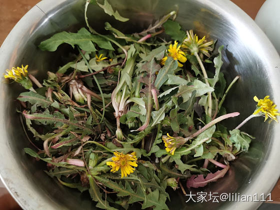 近日吃花总结_美食