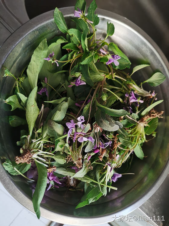 近日吃花总结_美食