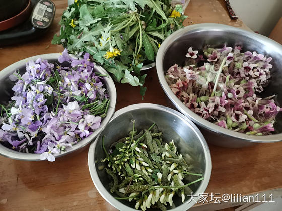 近日吃花总结_美食