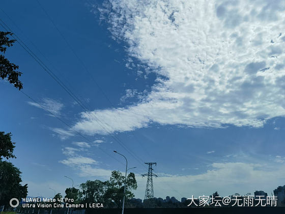 你看，天鹅_闲聊