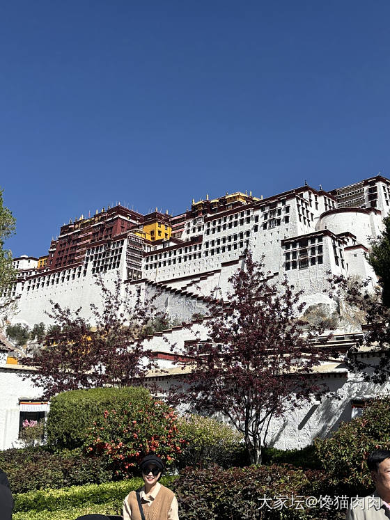 布达拉宫_旅游