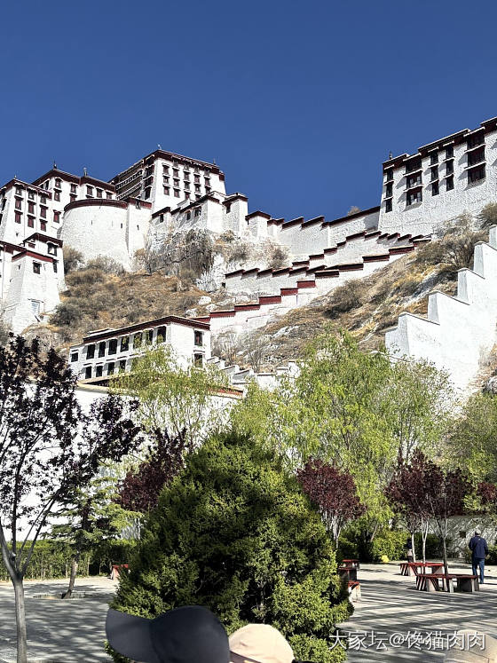 布达拉宫_旅游