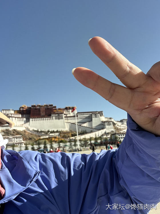 布达拉宫_旅游