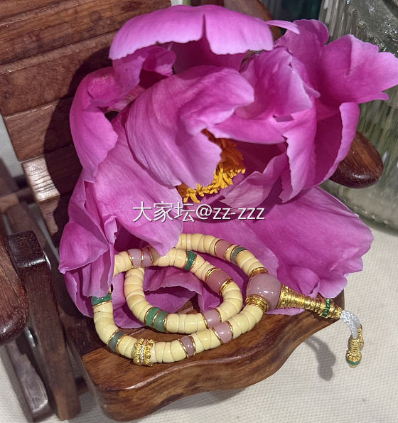 新入的星月小肠_闲聊