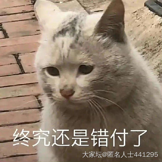 最近坛子里老遇到没礼貌的人_交易讨论