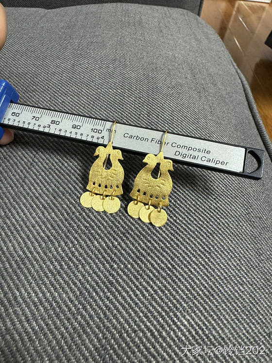 新买的耳环_金
