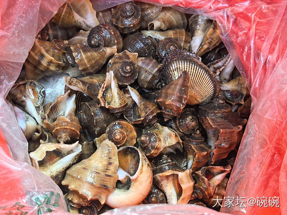 当有个出海的亲戚！_食材