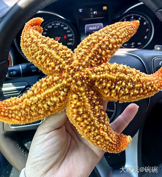 当有个出海的亲戚！_食材