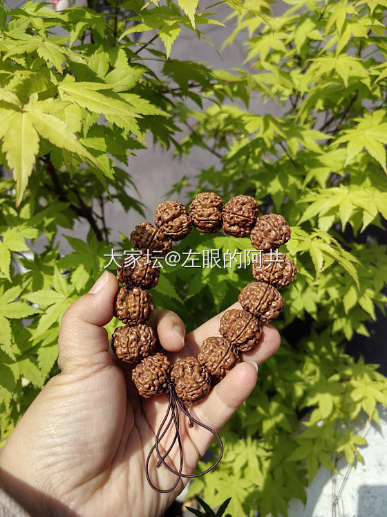 打好底的金刚菩提串_文玩