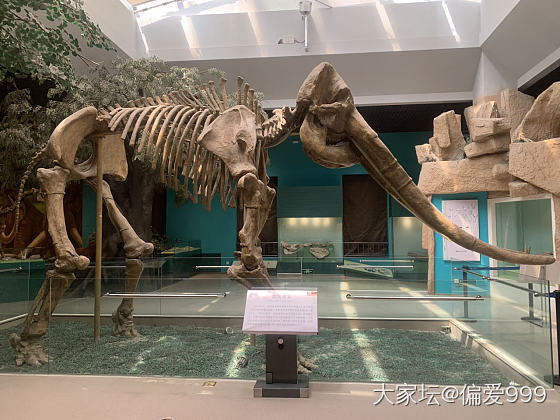 走马观花-甘肃省博物馆_博物馆