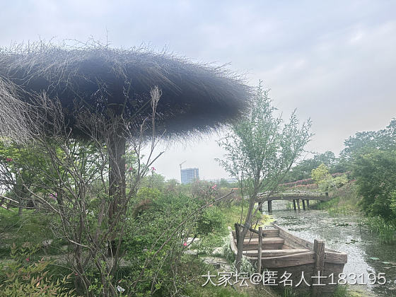 满眼都是花_旅游植物