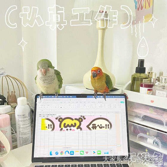 冒个泡，晒个出租屋吧_装修