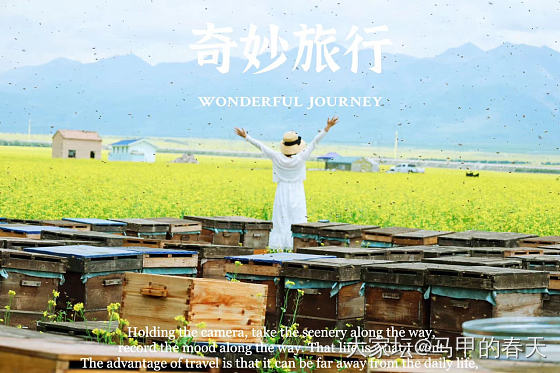 快到西宁了_旅游