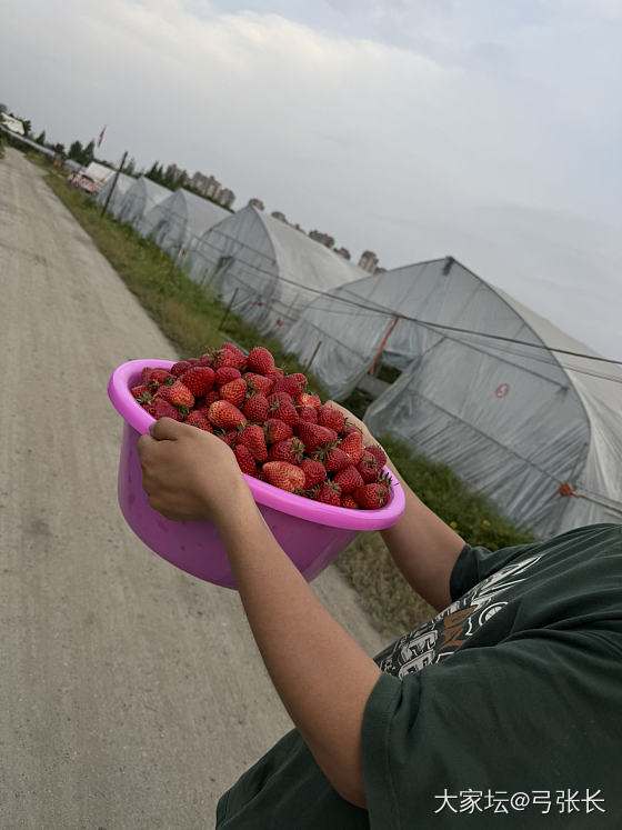 今日份草莓🍓失败_水果