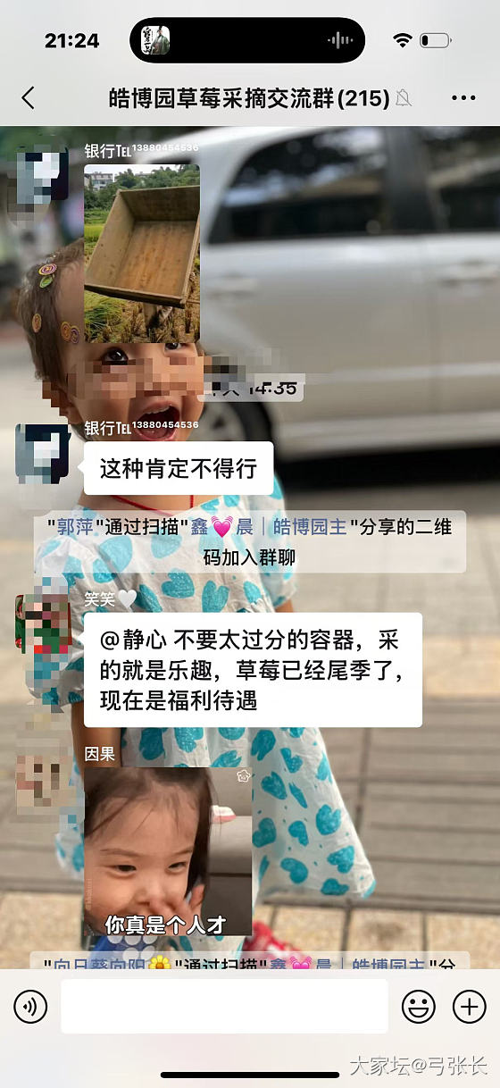 摘草莓_水果
